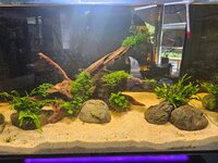 20260809_145147.jpg