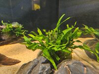 20260809_145218.jpg