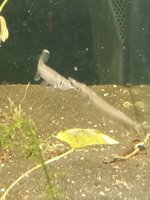 IMG_20260816_095202_626.jpg