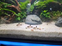 20260816_173119.jpg