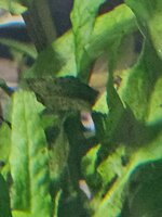 20260820_191422.jpg