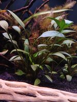 20260820_230801.jpg