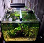 20260829_171804.jpg