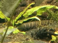 IMG_20260901_193329_218.jpg