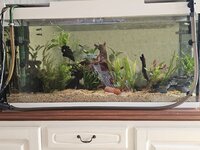aqurium bak 1.20.jpeg