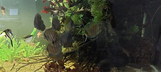 20260824_194742.jpg