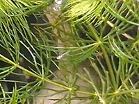 20260910_103718.jpg