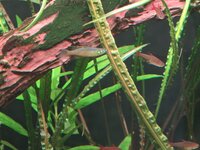 20260910_180721.jpg