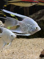 IMG_0502.jpeg