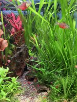 IMG_1419.jpeg