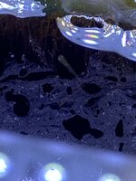 IMG_8190.jpeg