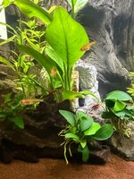 IMG_3062.jpeg