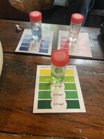 IMG_9533.jpeg