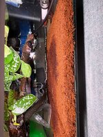 IMG_2770.jpeg