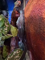 IMG_2769.jpeg