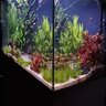 aquatlantis splendid 100