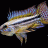 Apisto