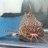 Roomsnoes_06