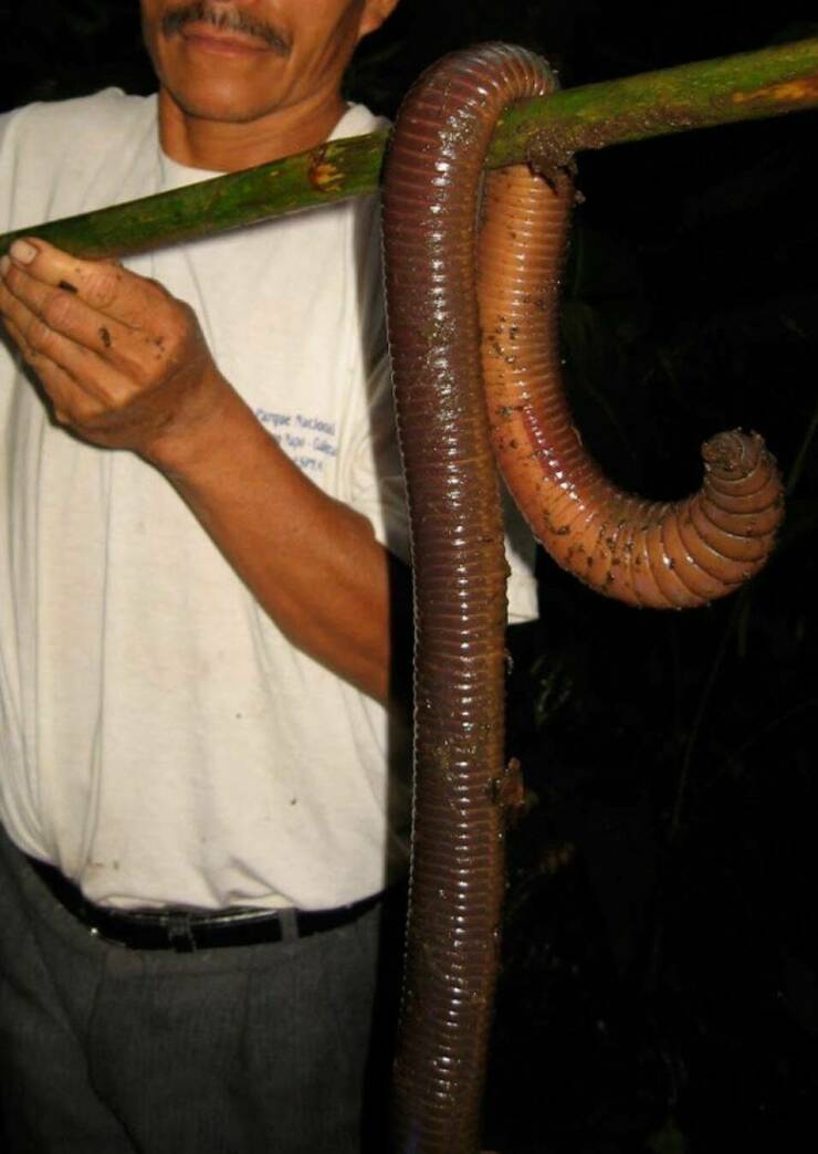 daily_picdump_3995_640_high_09.jpg